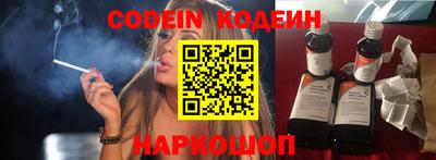 индика Усть-Джегута