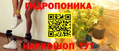 индика Усть-Джегута