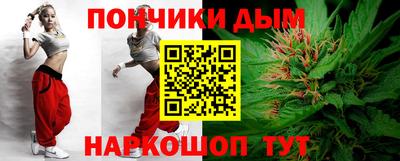 индика Усть-Джегута